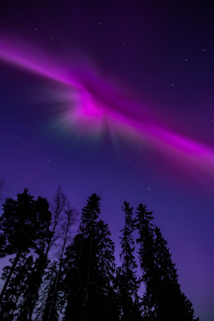 Stunning view of northern lights over a forest in Tampere, Finland.